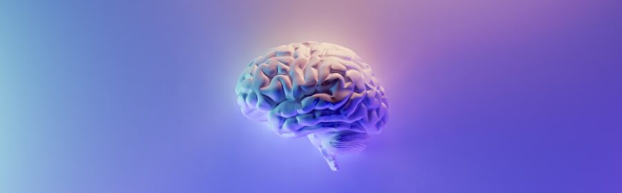 Photo brain